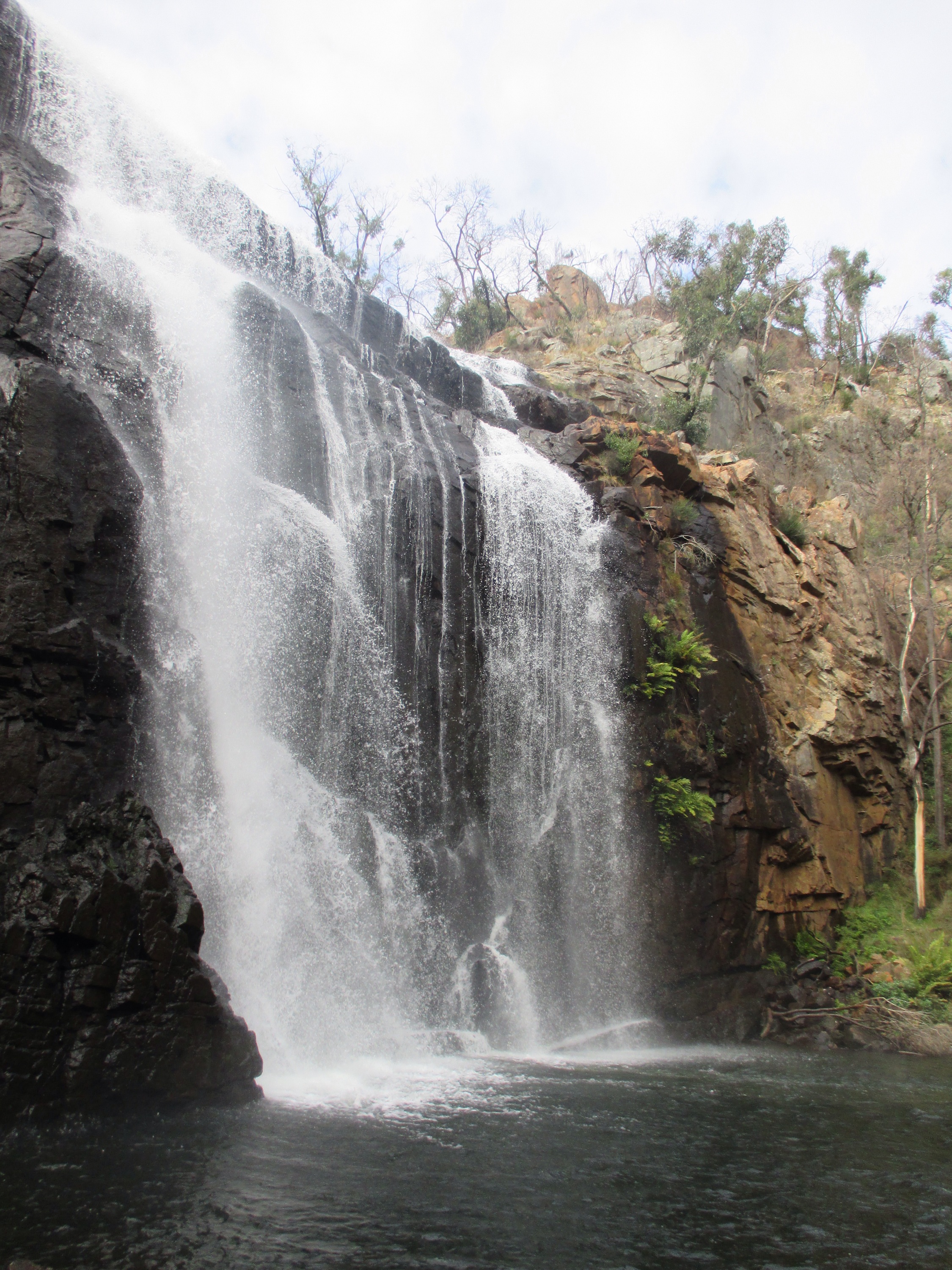 McKenzie Falls