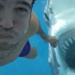 Shark Attack