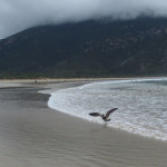 wilsons promontory