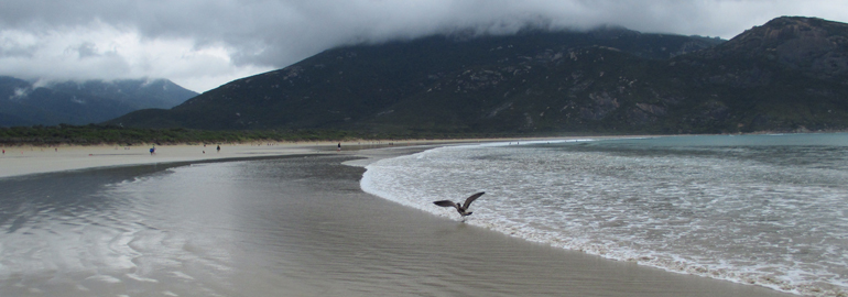wilsons promontory