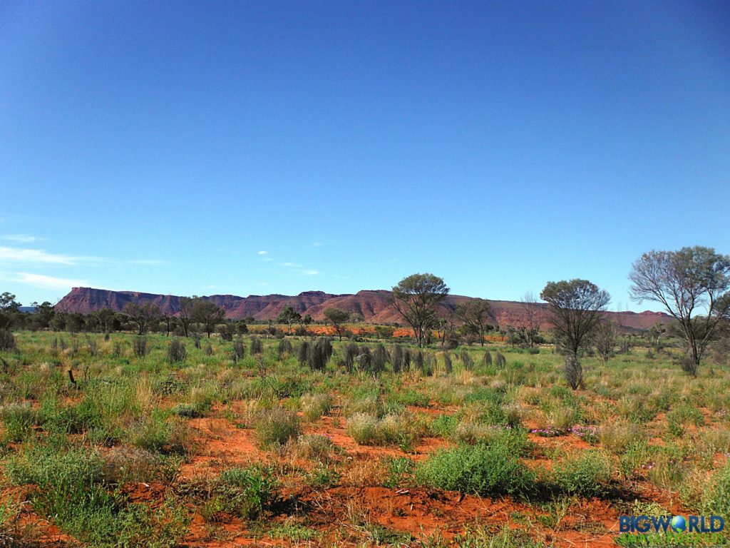 Outback