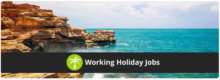 backpacker job